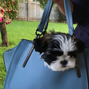 Meet your Posher, Kelly